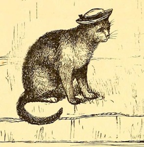 Cat in a sailor hat