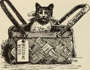 Cat in a picnic basket