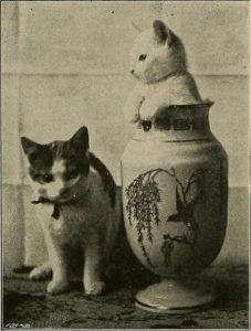 two cats, one sitting and looking at camera, while a white cat stands in a vase