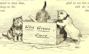 kittens looking in a box labeled "with great care"