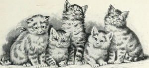 drawing of five striped cats