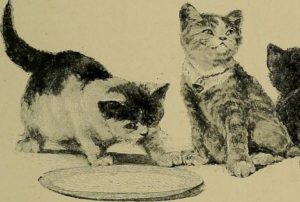 black and white drawing of two cats sitting near an empty plate