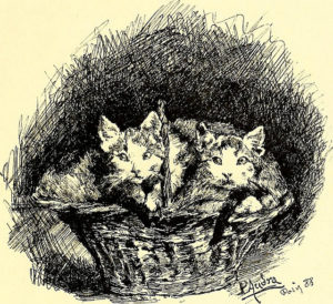 black and white drawing of two kittens in a wicker basket